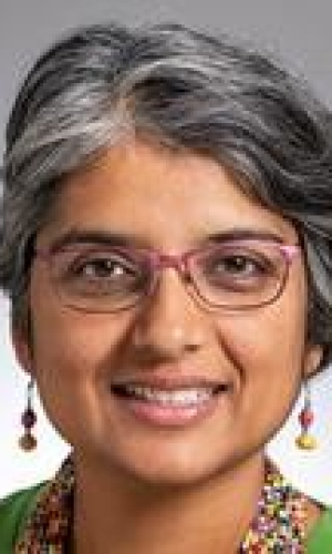 The Mid-Career Award for Excellence in Research